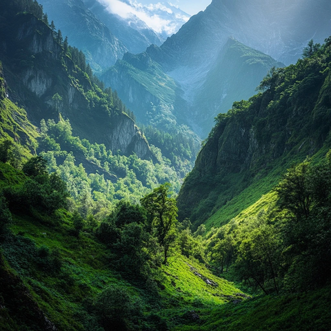 绿意山谷幽