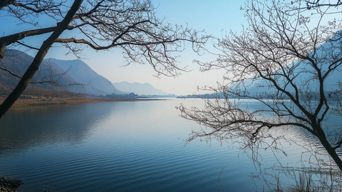 冬日湖边的萧瑟之美