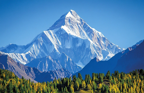 森林边的雄伟雪山