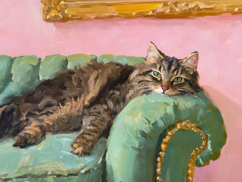 长毛猫躺绿色绒面沙发