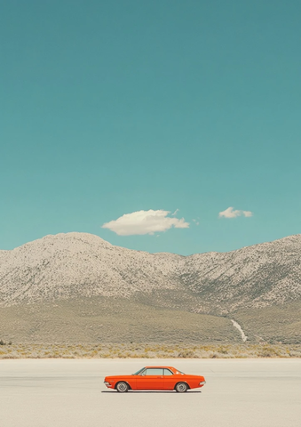 棕榈树条纹海蓝橙色