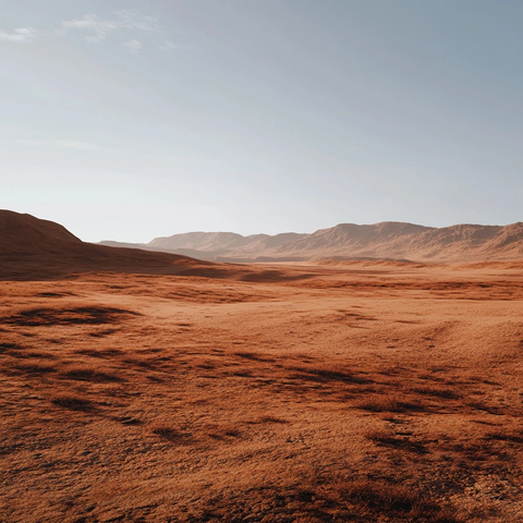 沙漠平地橙棕色调