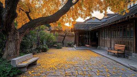 古宅庭院秋景落叶满地