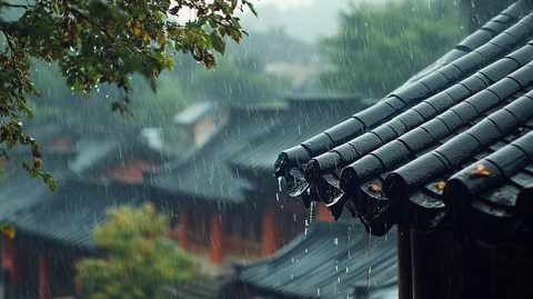雨中的古建筑屋顶景象