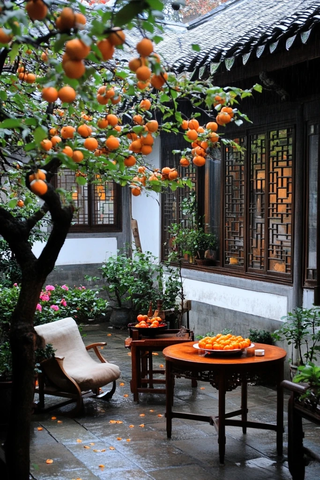 庭院内有橘子树和桌椅的悠闲景象