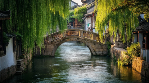 江南水乡的石桥与垂柳