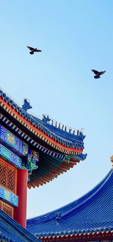 古建筑屋顶上有鸟儿飞过的画面