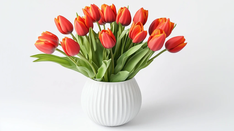 经典白瓷瓶对称郁金香