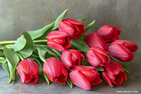红色郁金香母亲节祝福