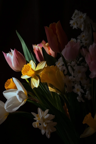 春季花卉组合简约风格