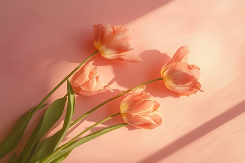 粉红郁金香节日横幅模板