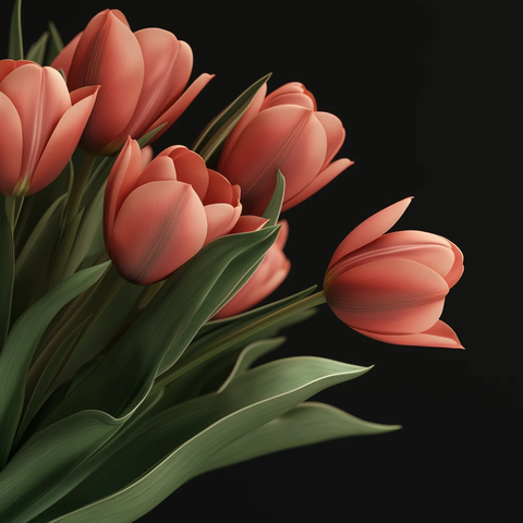 郁金香特写整株可见