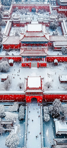 雪中故宫俯瞰全景