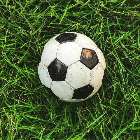 黑白足球置于绿草地
