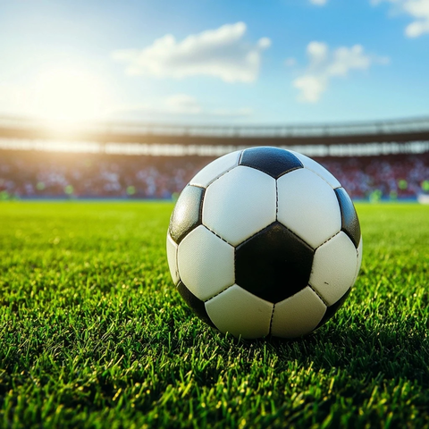 足球场草地足球