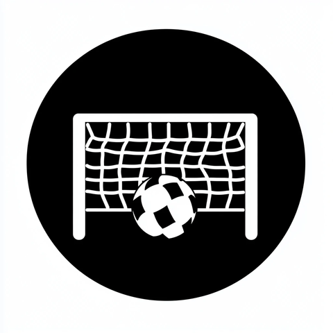 黑白圆形目标进球图