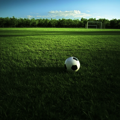 足球场草地多球场景