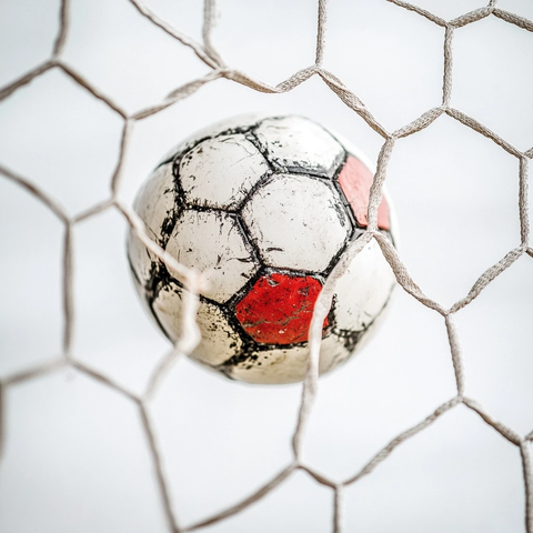 足球网内静止的足球