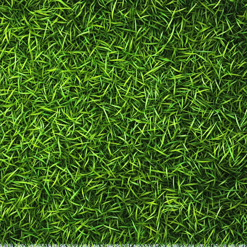 足球场草坪纹理