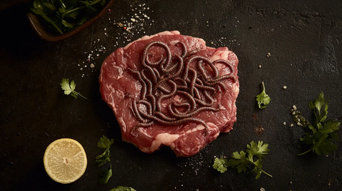 虫子在生牛排上爬行