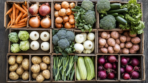 新鲜蔬菜木箱排列