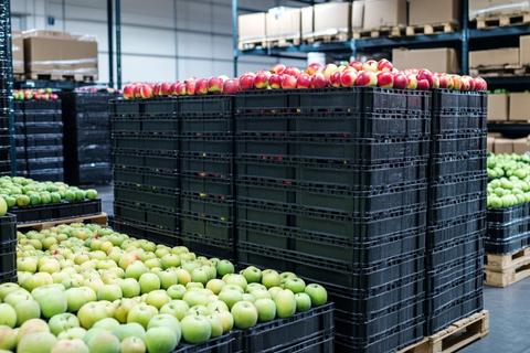 苹果水果货架仓储