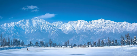 雪地滑雪者优雅滑行