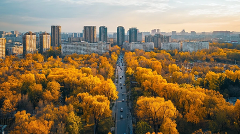 城市中被秋景环绕的道路