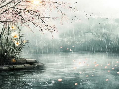 春雨柳树桃花流水