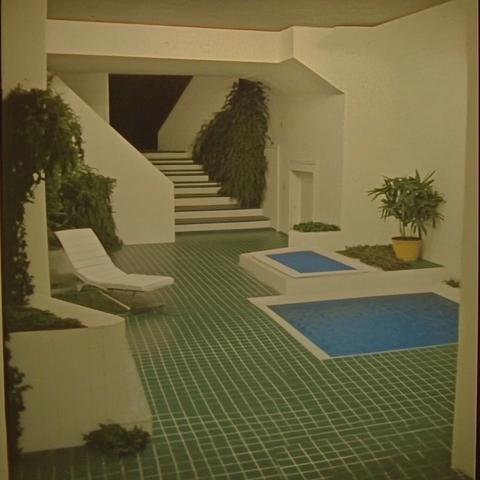 空旷地下室绿格瓷砖与植物