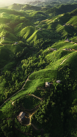 茶山村民耕作全景