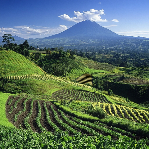 火山下农田半圆美景