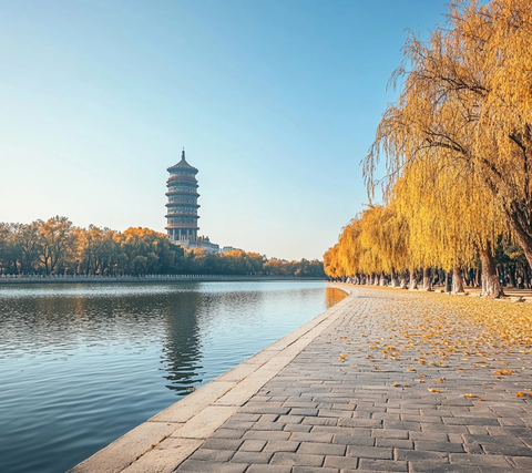 水边赏塔景金黄树叶下的惬意漫步