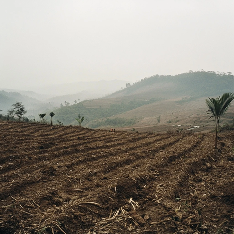 荒废村庄与单调植被
