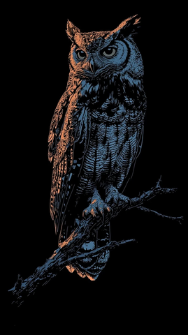 墨绘雄鹰伫立枯枝