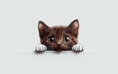 蹲伏的深褐色小猫