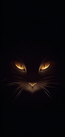 烟雾线条猫头壁纸