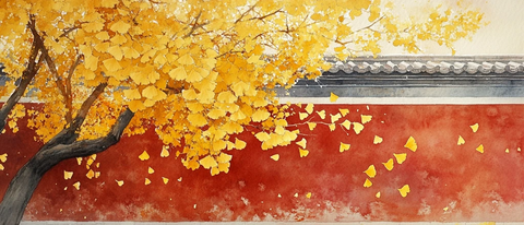 红墙旁银杏树金黄树叶飘落的唯美画面