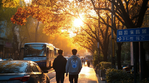 阳光下城市街道上行人的背影
