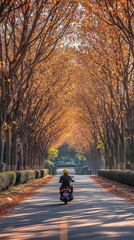 骑摩托车穿行在满是黄叶的林荫大道上