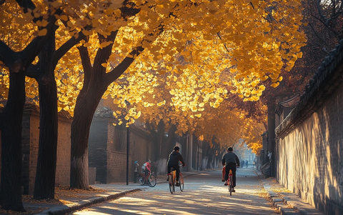 小巷中骑行的人穿行于金黄银杏树下