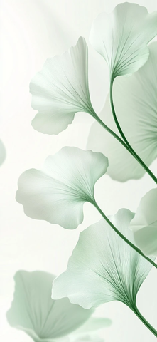 银杏叶与渐变花瓣