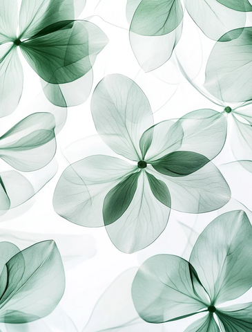 透明花瓣抽象绿色图案