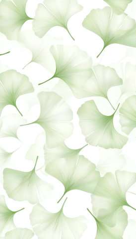 银杏叶重叠白色背景