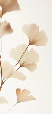 白底银杏叶简约图案