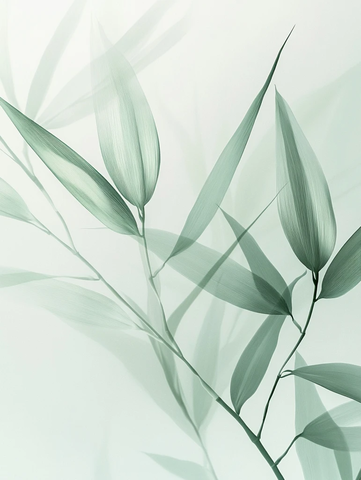 竹叶渐变半透明纹理插画