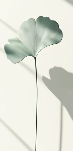 银杏叶金属质感立体渲染