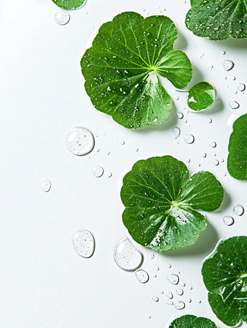 螺旋藻水泡背景摄影