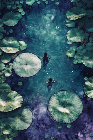 莲叶浮水蛙影紫底