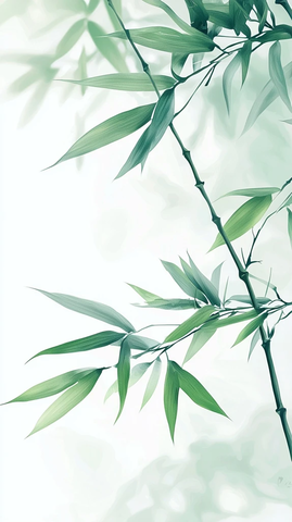 竹影清风背景图